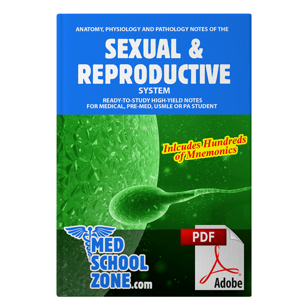 Sexual & Reproductive System