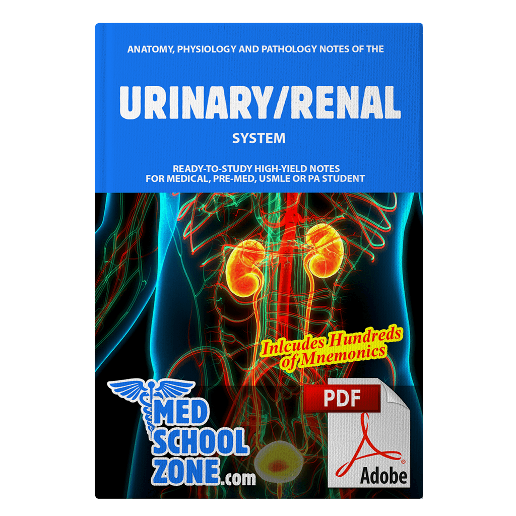Urinary & Renal System